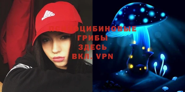 экстази Осташков