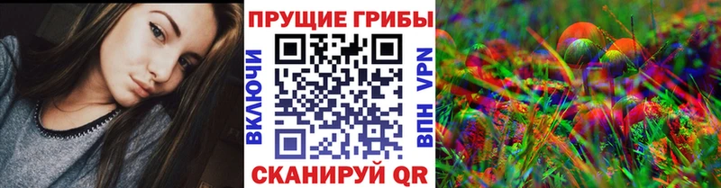 kraken   Краснокамск  Галлюциногенные грибы мицелий 