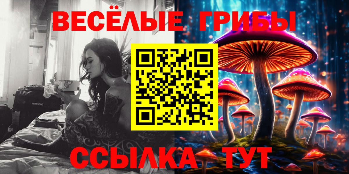 Галлюциногенные грибы Cubensis  Вход с VPN  сколько стоит  Краснокамск 