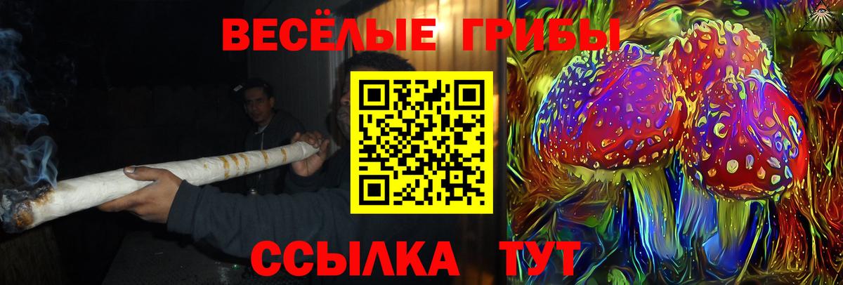 Галлюциногенные грибы Cubensis Краснокамск